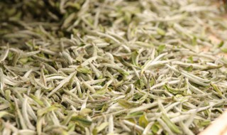 白茶如何保存方法 白茶怎么保存呢