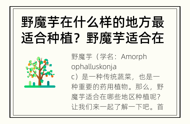 野魔芋在什么样的地方最适合种植？ 野魔芋适合在哪些地区种植？
