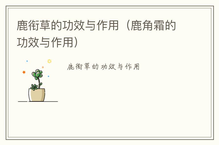 鹿衔草的功效与作用（鹿角霜的功效与作用）