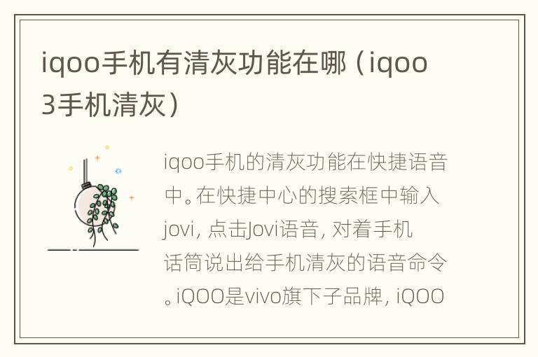iqoo手机有清灰功能在哪（iqoo3手机清灰）