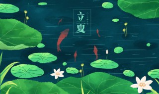 立夏的意思 什么是立夏