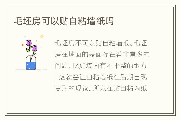 毛坯房可以贴自粘墙纸吗