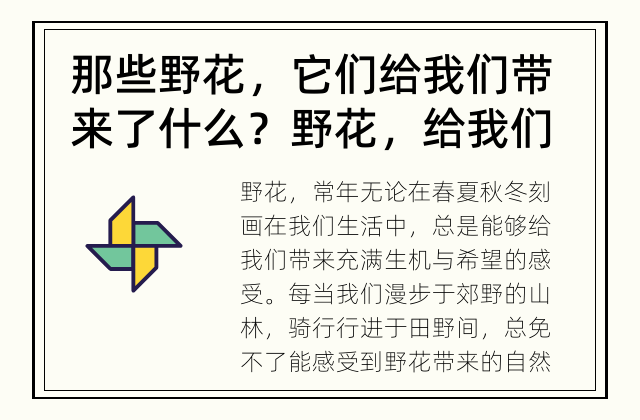 那些野花，它们给我们带来了什么？ 野花，给我们带来了什么样的感受？