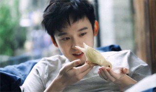董子健个人资料 董子健个人介绍