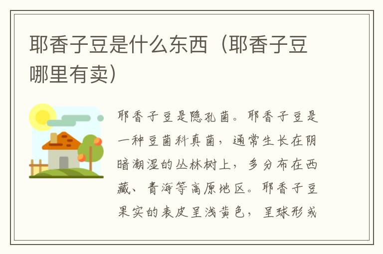 耶香子豆是什么东西（耶香子豆哪里有卖）