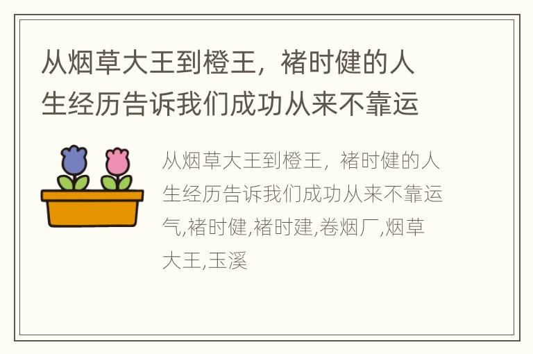 从烟草大王到橙王， 褚时健的人生经历告诉我们成功从来不靠运气