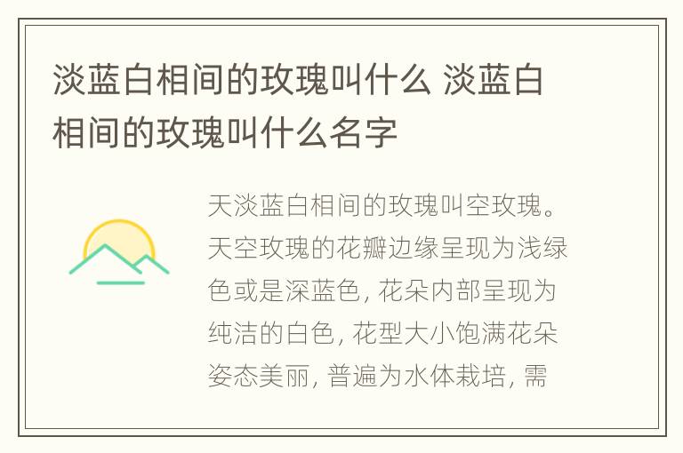 淡蓝白相间的玫瑰叫什么 淡蓝白相间的玫瑰叫什么名字