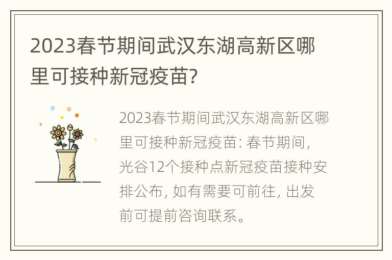 2023春节期间武汉东湖高新区哪里可接种新冠疫苗？