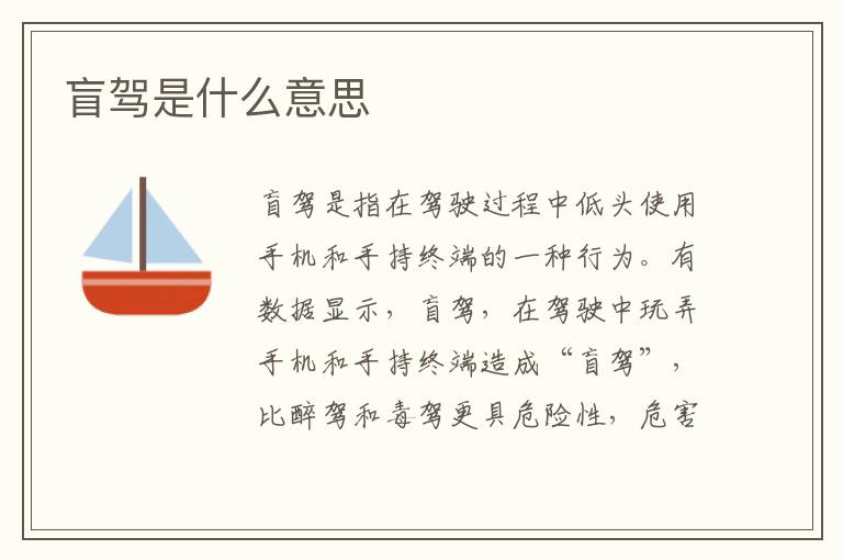 盲驾是什么意思