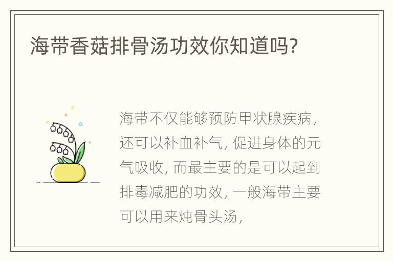 海带香菇排骨汤功效你知道吗？