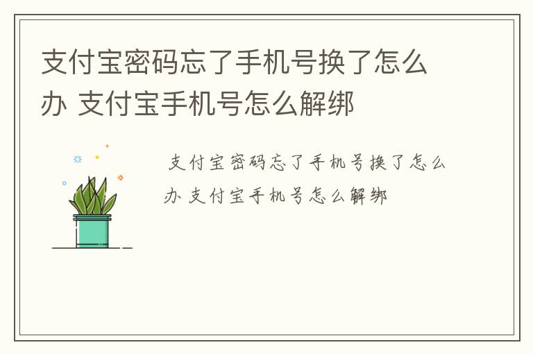 支付宝密码忘了手机号换了怎么办 支付宝手机号怎么解绑