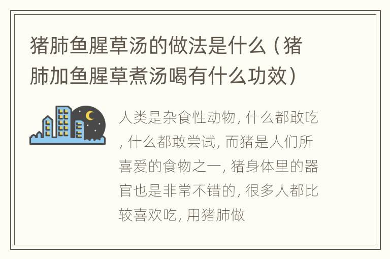 猪肺鱼腥草汤的做法是什么（猪肺加鱼腥草煮汤喝有什么功效）