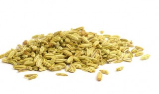 小茴香籽粉的食用方法 小茴香籽粉食用窍门
