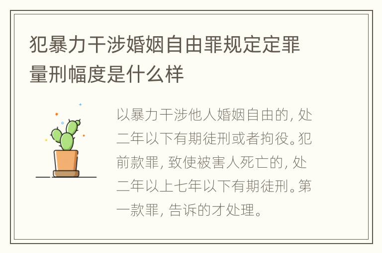 犯暴力干涉婚姻自由罪规定定罪量刑幅度是什么样