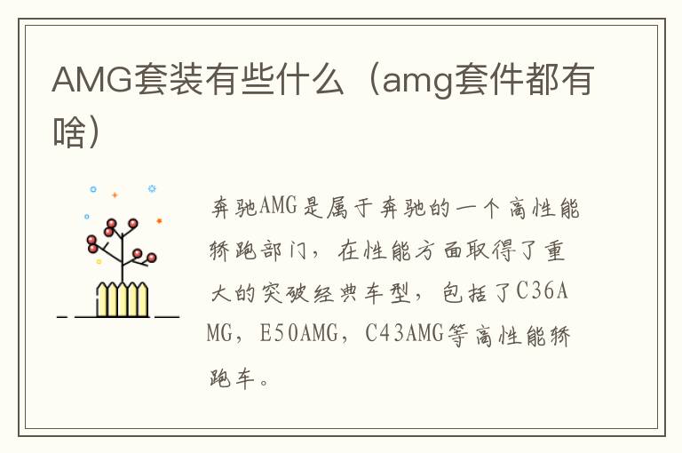 AMG套装有些什么（amg套件都有啥）