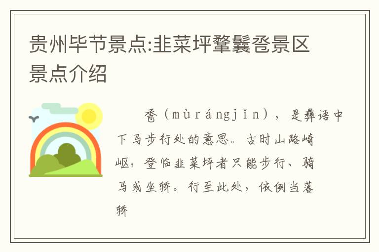 贵州毕节景点:韭菜坪鞪鬤卺景区景点介绍