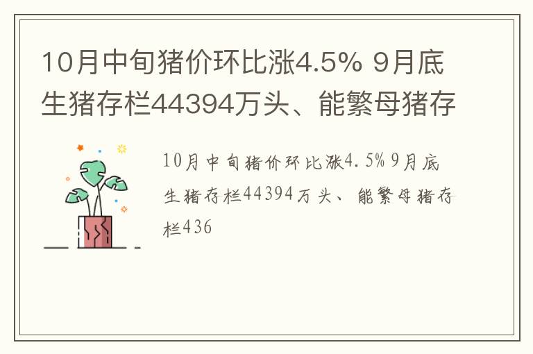 10月中旬猪价环比涨4.5% 9月底生猪存栏44394万头、能繁母猪存栏436