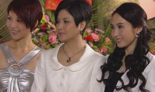 珠光宝气剧情分集介绍 珠光宝气剧情简介