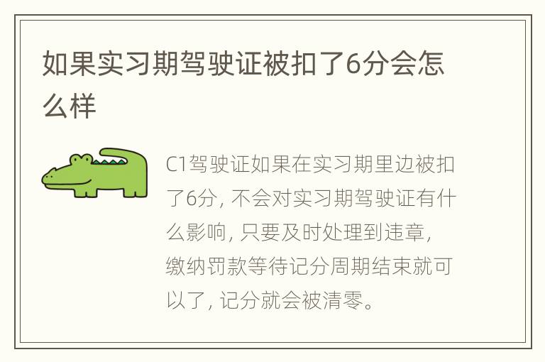 如果实习期驾驶证被扣了6分会怎么样