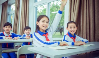 小学生数学知识 小学数学知识有哪些？