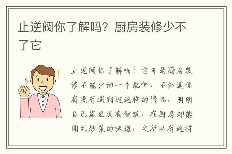 止逆阀你了解吗？厨房装修少不了它