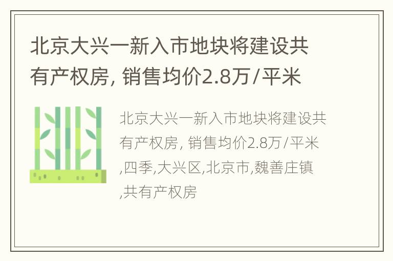 北京大兴一新入市地块将建设共有产权房，销售均价2.8万/平米