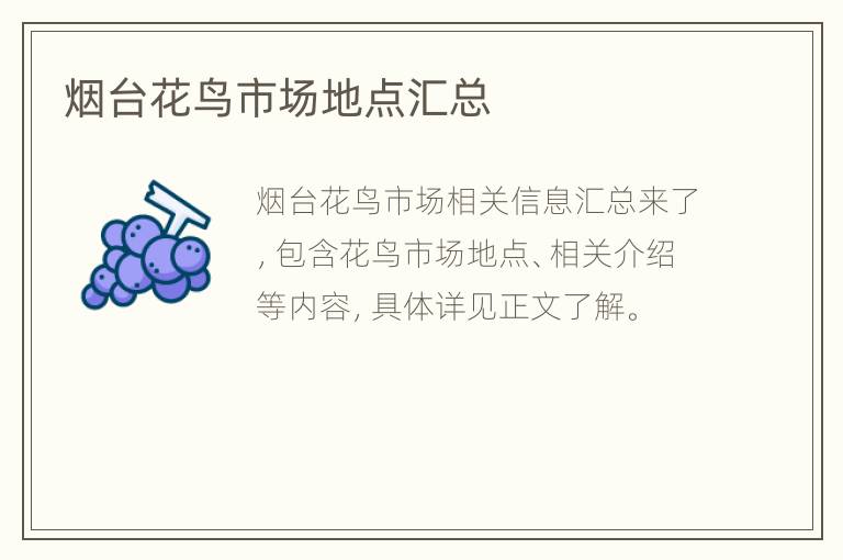 烟台花鸟市场地点汇总