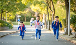 小学生交通规则10条 小学生基本交通规则