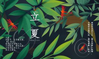 立夏的由来和风俗 立夏的由来和风俗简单介绍