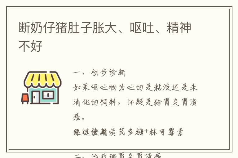 断奶仔猪肚子胀大、呕吐、精神不好