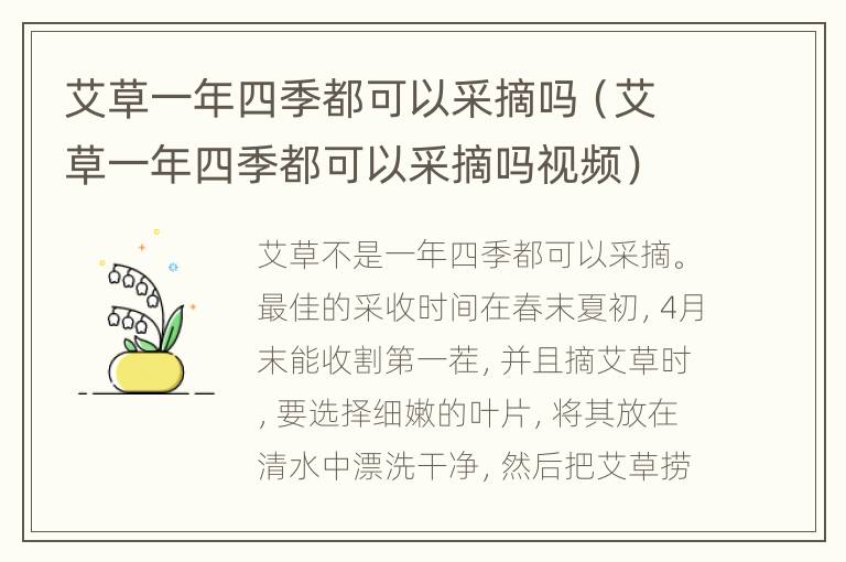 艾草一年四季都可以采摘吗（艾草一年四季都可以采摘吗视频）