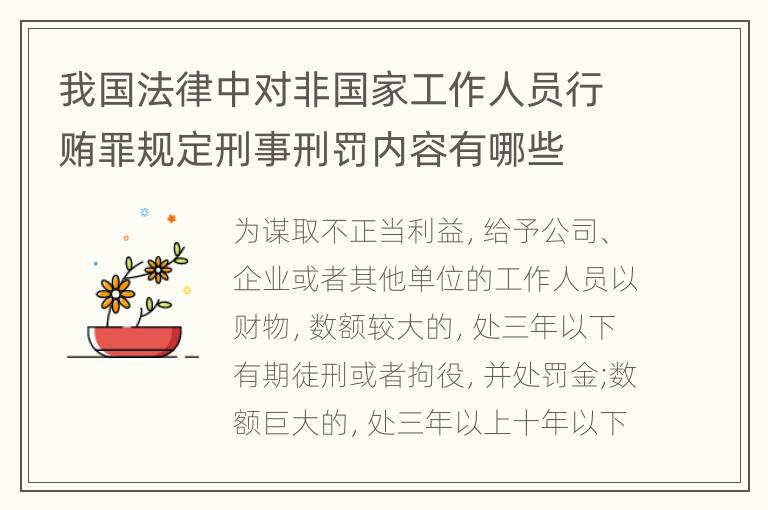 我国法律中对非国家工作人员行贿罪规定刑事刑罚内容有哪些