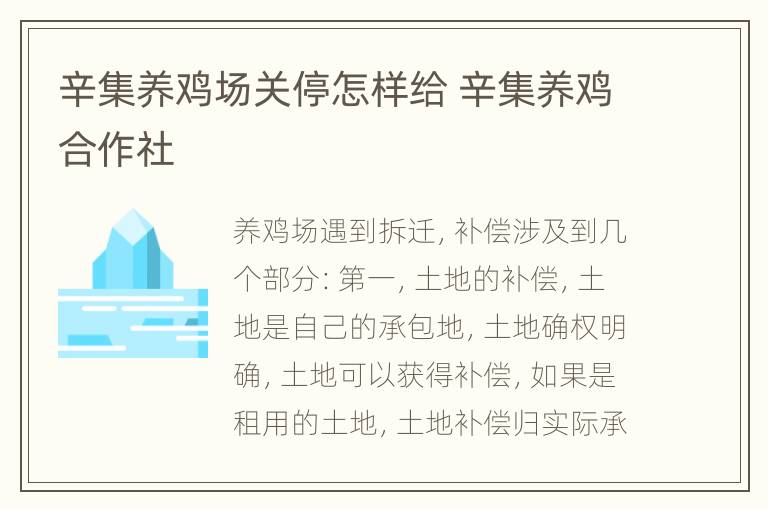 辛集养鸡场关停怎样给 辛集养鸡合作社