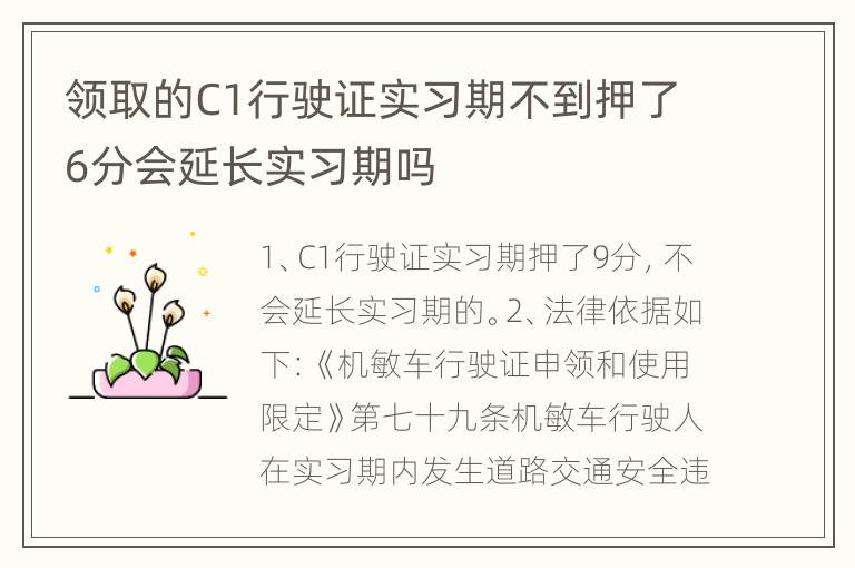 领取的C1行驶证实习期不到押了6分会延长实习期吗