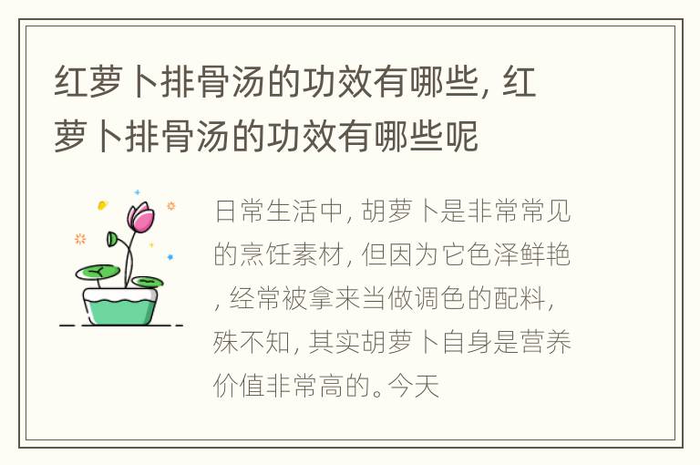 红萝卜排骨汤的功效有哪些，红萝卜排骨汤的功效有哪些呢