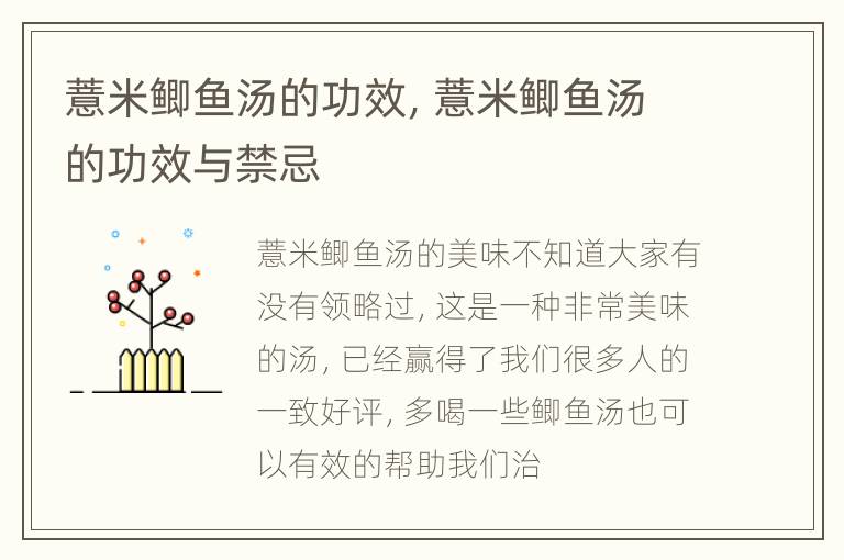 薏米鲫鱼汤的功效，薏米鲫鱼汤的功效与禁忌