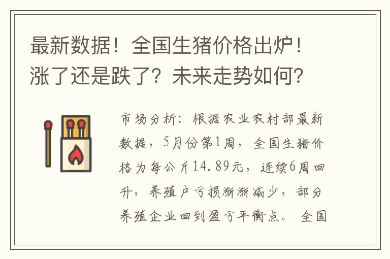 最新数据！全国生猪价格出炉！涨了还是跌了？未来走势如何？