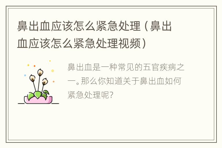鼻出血应该怎么紧急处理（鼻出血应该怎么紧急处理视频）