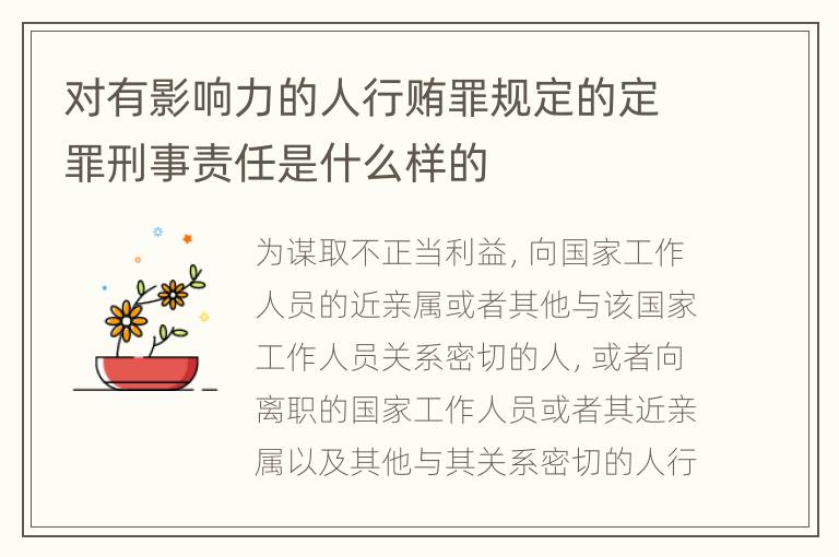 对有影响力的人行贿罪规定的定罪刑事责任是什么样的