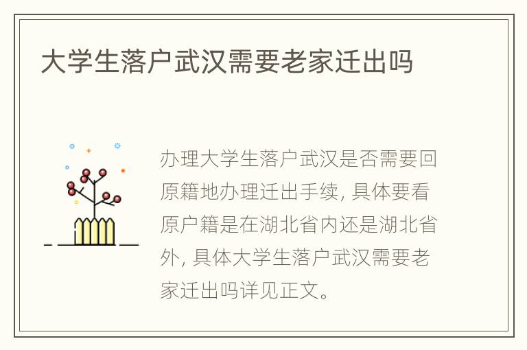 大学生落户武汉需要老家迁出吗
