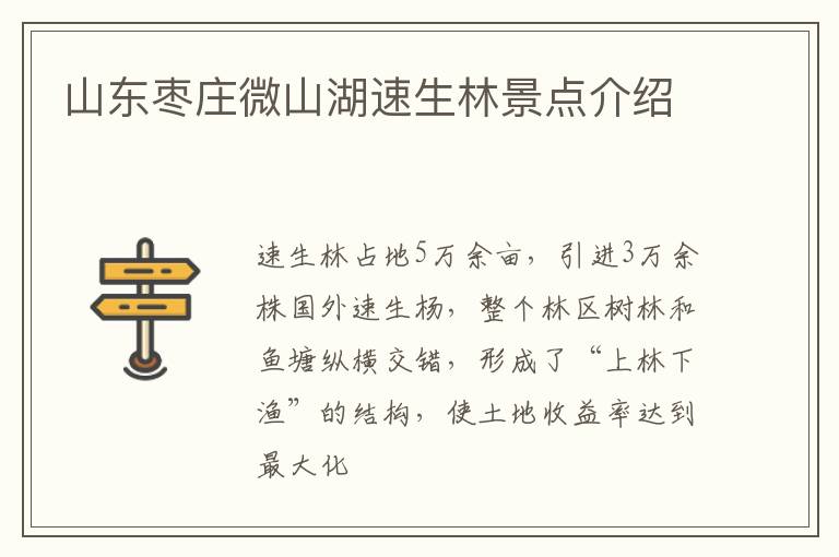 山东枣庄微山湖速生林景点介绍