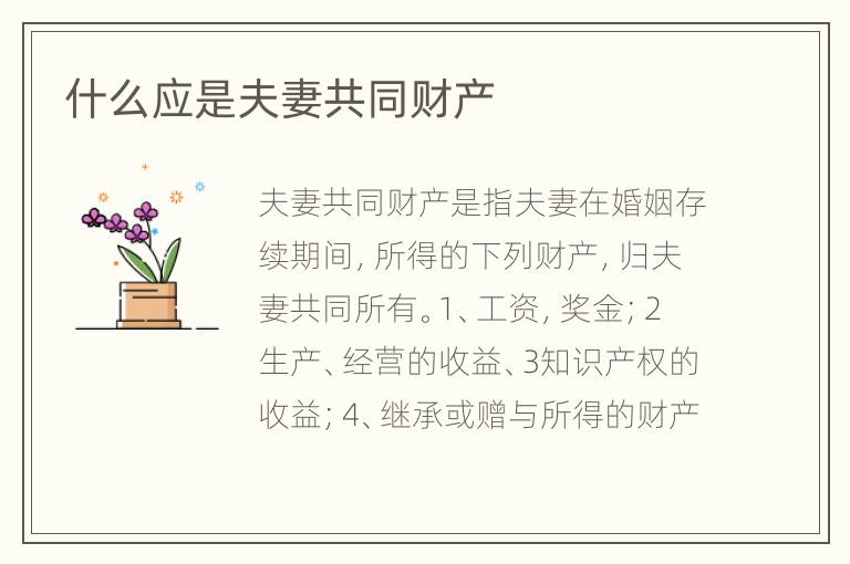什么应是夫妻共同财产