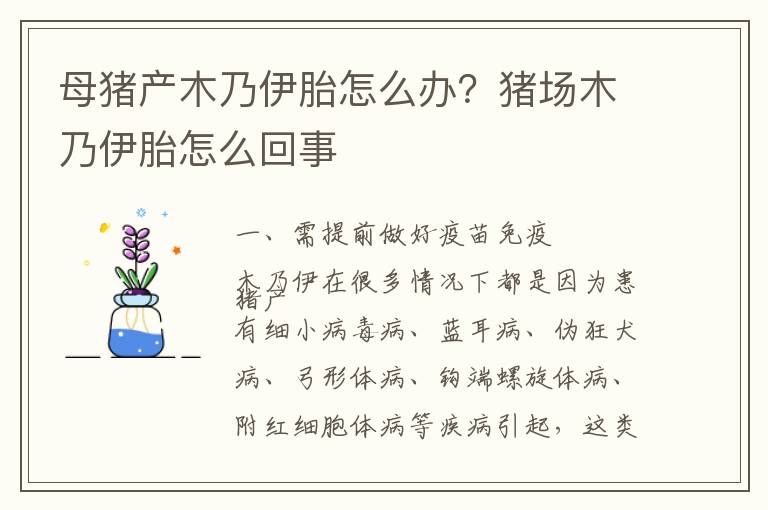 母猪产木乃伊胎怎么办？猪场木乃伊胎怎么回事