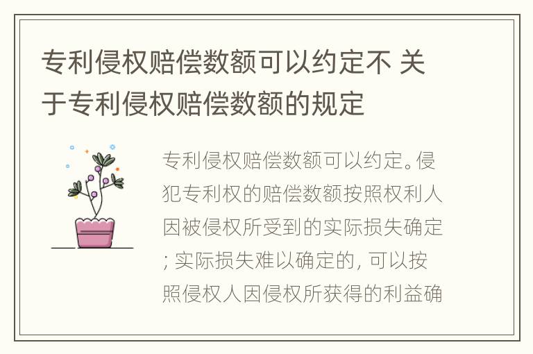 专利侵权赔偿数额可以约定不 关于专利侵权赔偿数额的规定