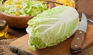 飘香白菜丝做法步骤 怎么做飘香白菜丝