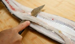 鳗鱼去骨技巧 鳗鱼去骨的方法