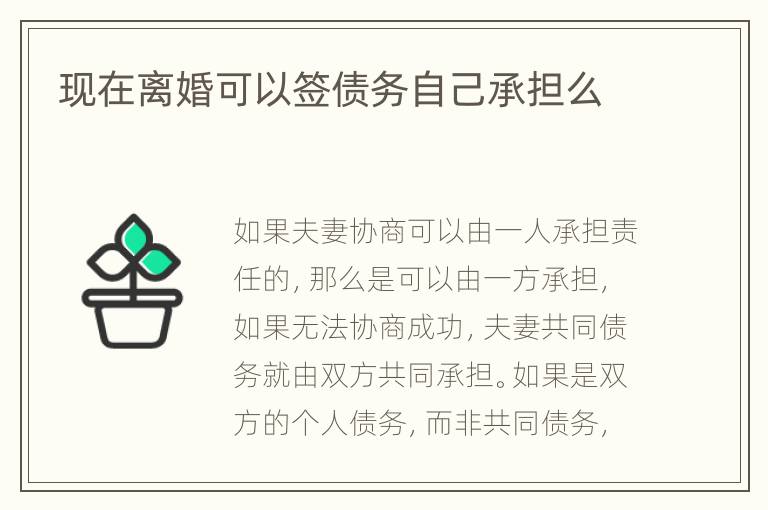 现在离婚可以签债务自己承担么