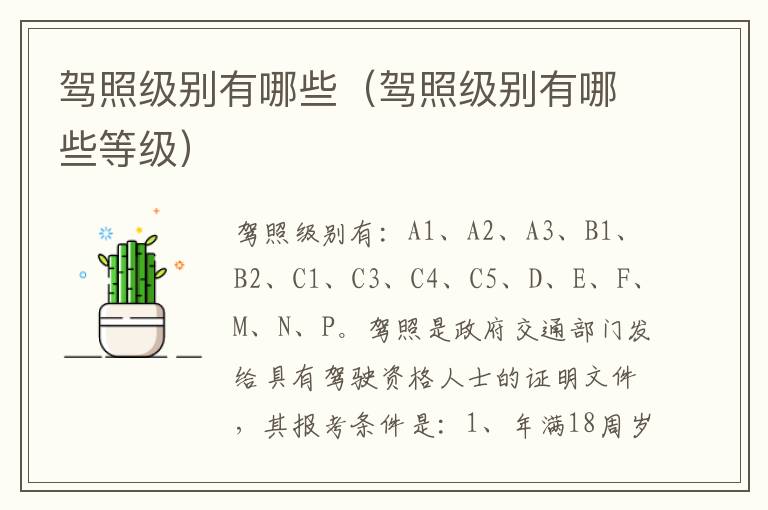 驾照级别有哪些（驾照级别有哪些等级）