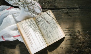君子世无双出自哪里 君子世无双的出处
