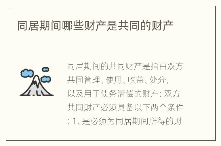 同居期间哪些财产是共同的财产